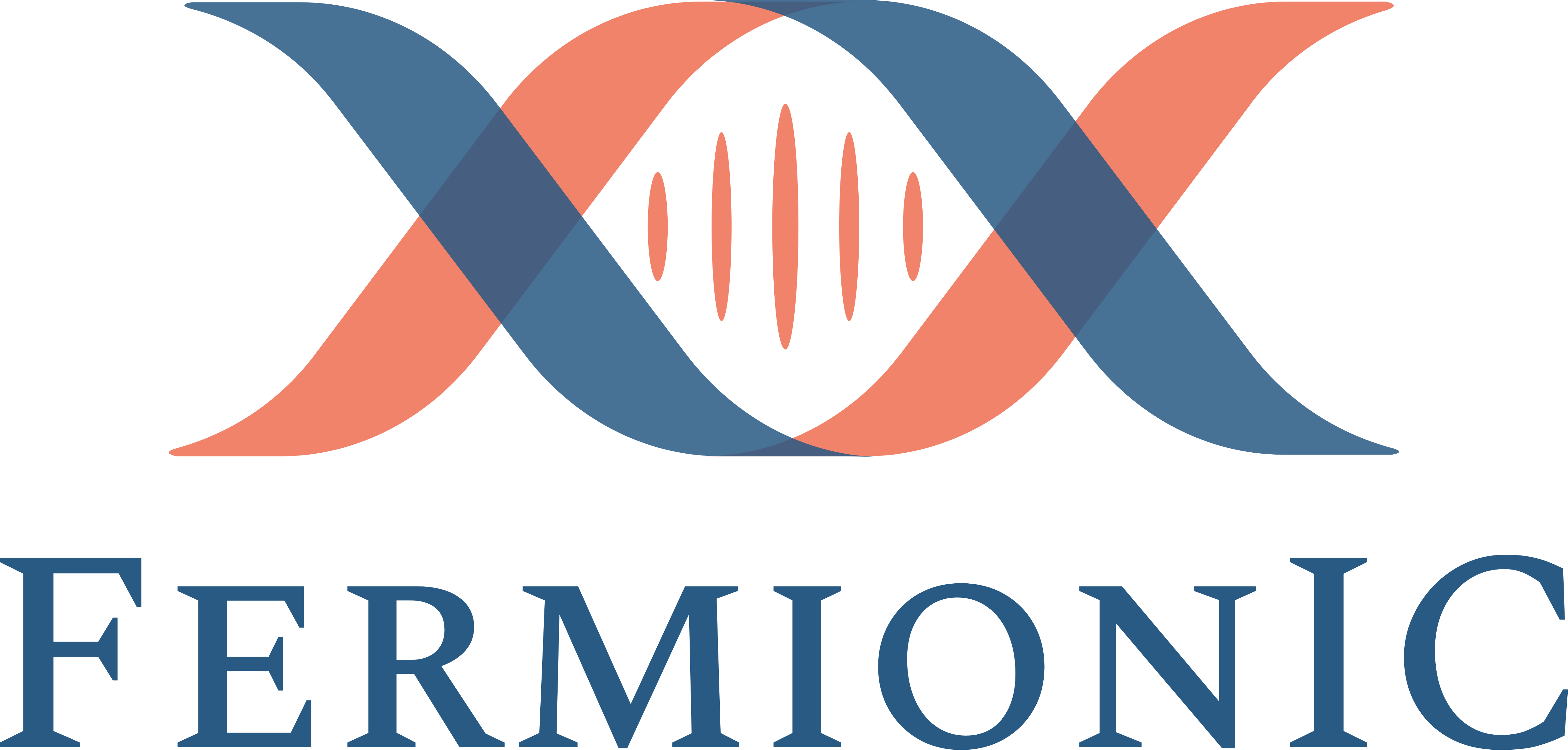 FermionIC Design